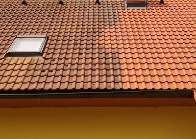 Detail čištění střechy rodinného domu v Rabštejnské Lhotě včetně aplikace nano impregnace