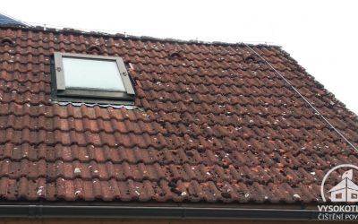 Jak se zbavit mechu na střeše