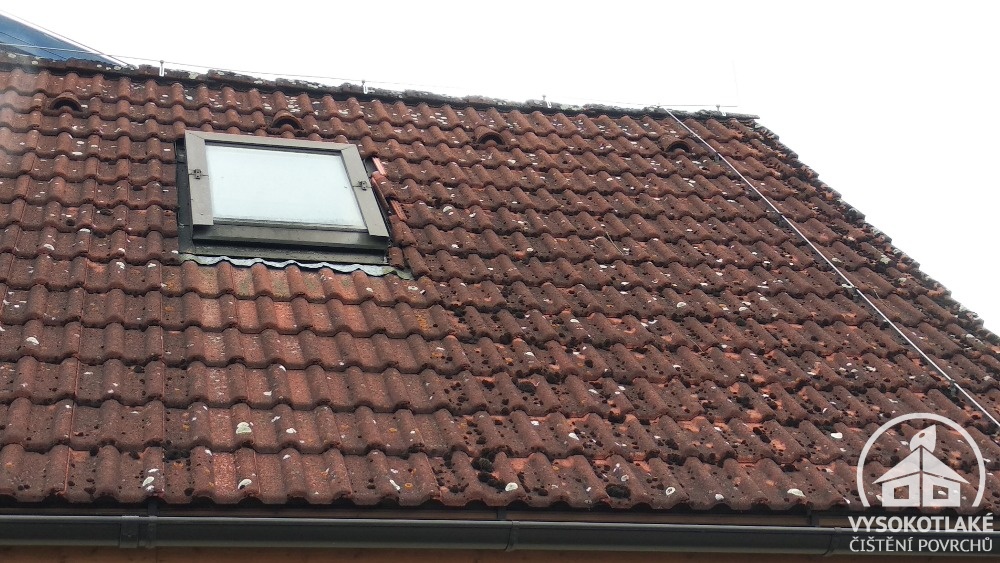 mech na střeše