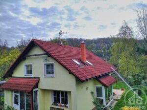 střecha od mechů a lišejníků