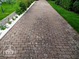 zámková dlažba pokrytá lišejníkem