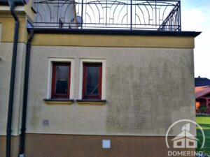 plísně nečistoty fasáda před realizací