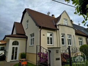 znečištěna střecha mechy lišejníky