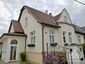 čistá a naimpregnovaná střecha