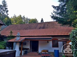 mechy lišejníky čištění