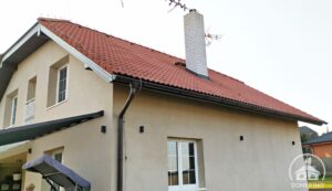 betonová krytina běžné nečistoty lišejníky