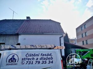 čištění od mechů a lišejníků Domerino