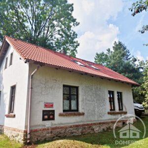 Konec mechům na střeše!