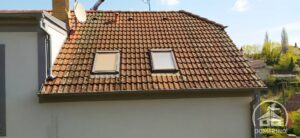 čištění od mechů a lišejníků Domerino