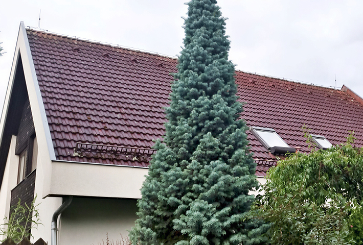 Betonová střecha před nátěrem