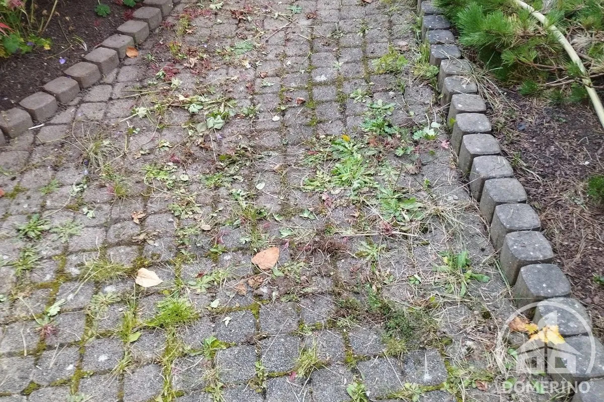 Dlažba porostlá plevelem