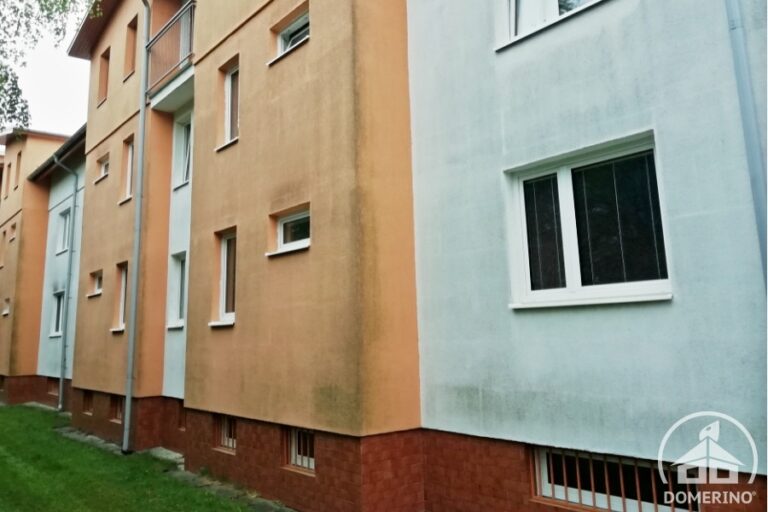 Plíseň na fasádě panelového domu